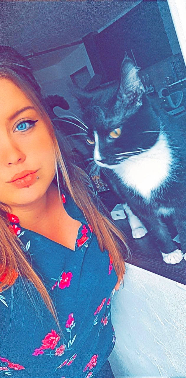 Vegas participe au concours pour gagner de l'argent avec cette photo : azure, blue, carnivore, cat, eye, eyelash, facial_expression, felidae, gesture, hair, hairstyle, happy, iris, lip, neck, organ, outerwear, skin, small_to_medium_sized_cats, textile