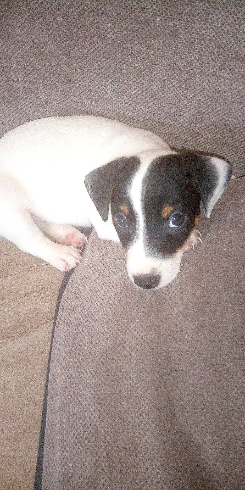 Tupac