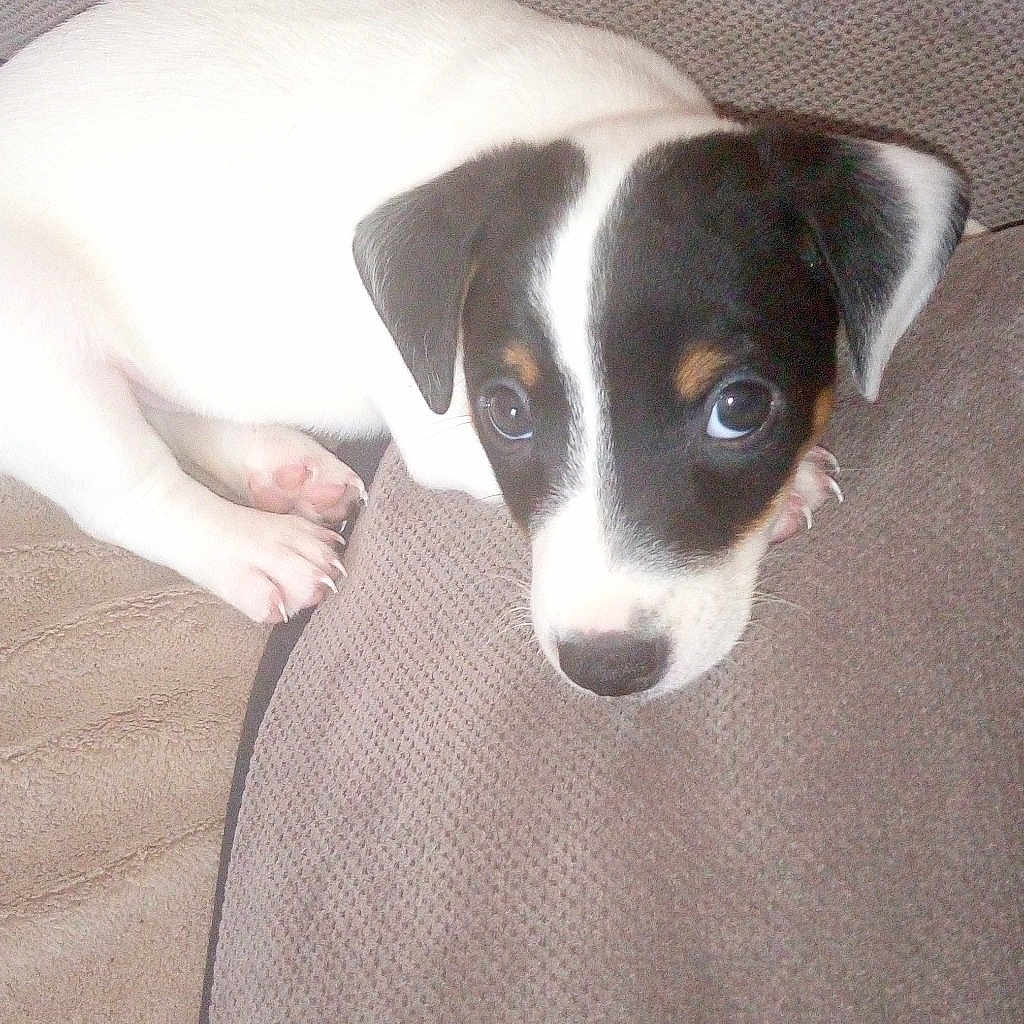 Tupac