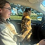 Callie joined the competition — help win amazing prizes! cat, person, car_interior, window, seat, steering_wheel, passenger, feline, long_fur, sunlight, collar, side_mirror, dashboard, trees, eyeglasses, hand, road, driving, portrait, cozy
