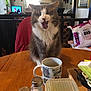 Baileigh is registered to the contest to win money with this photo: