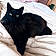 Cleo