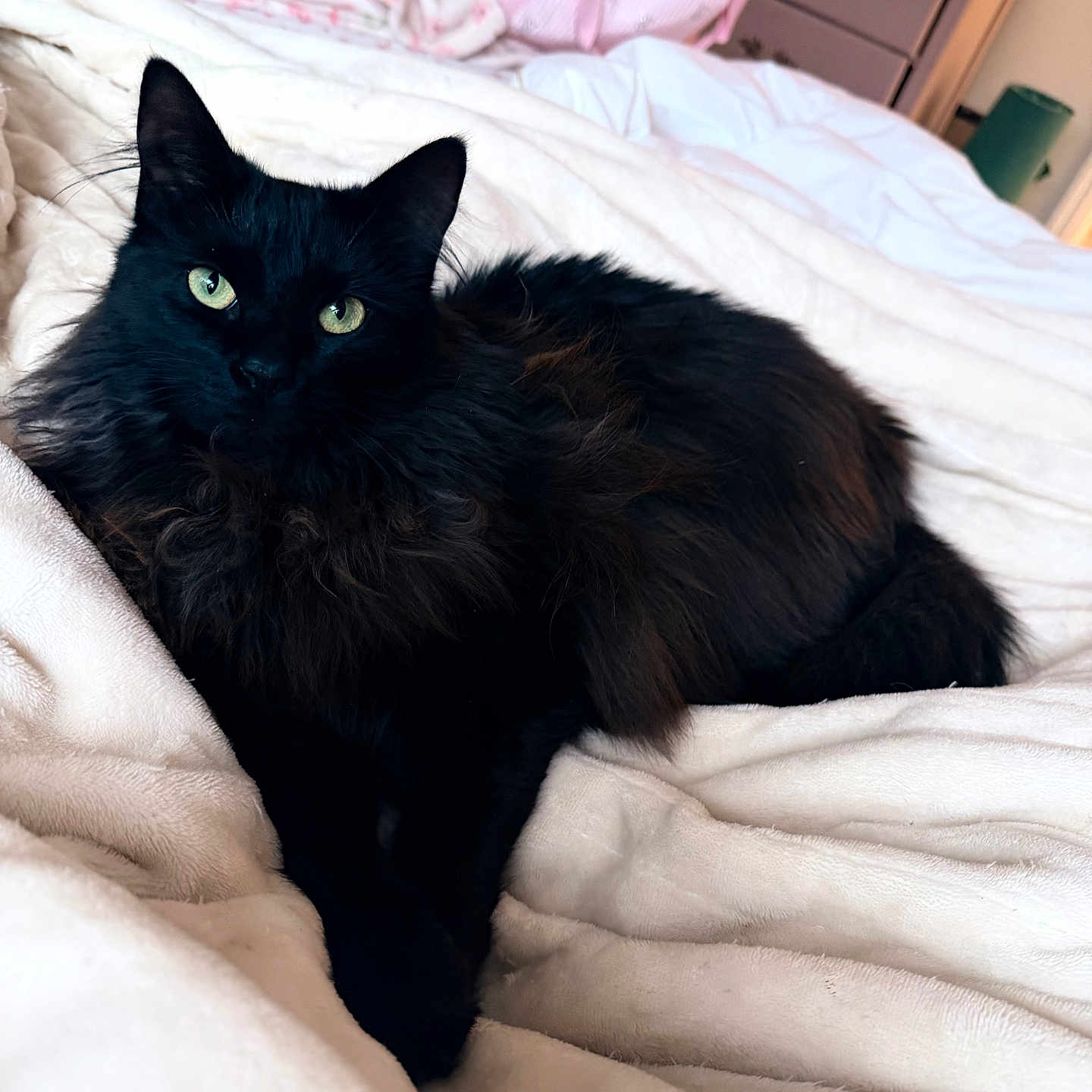 Cleo