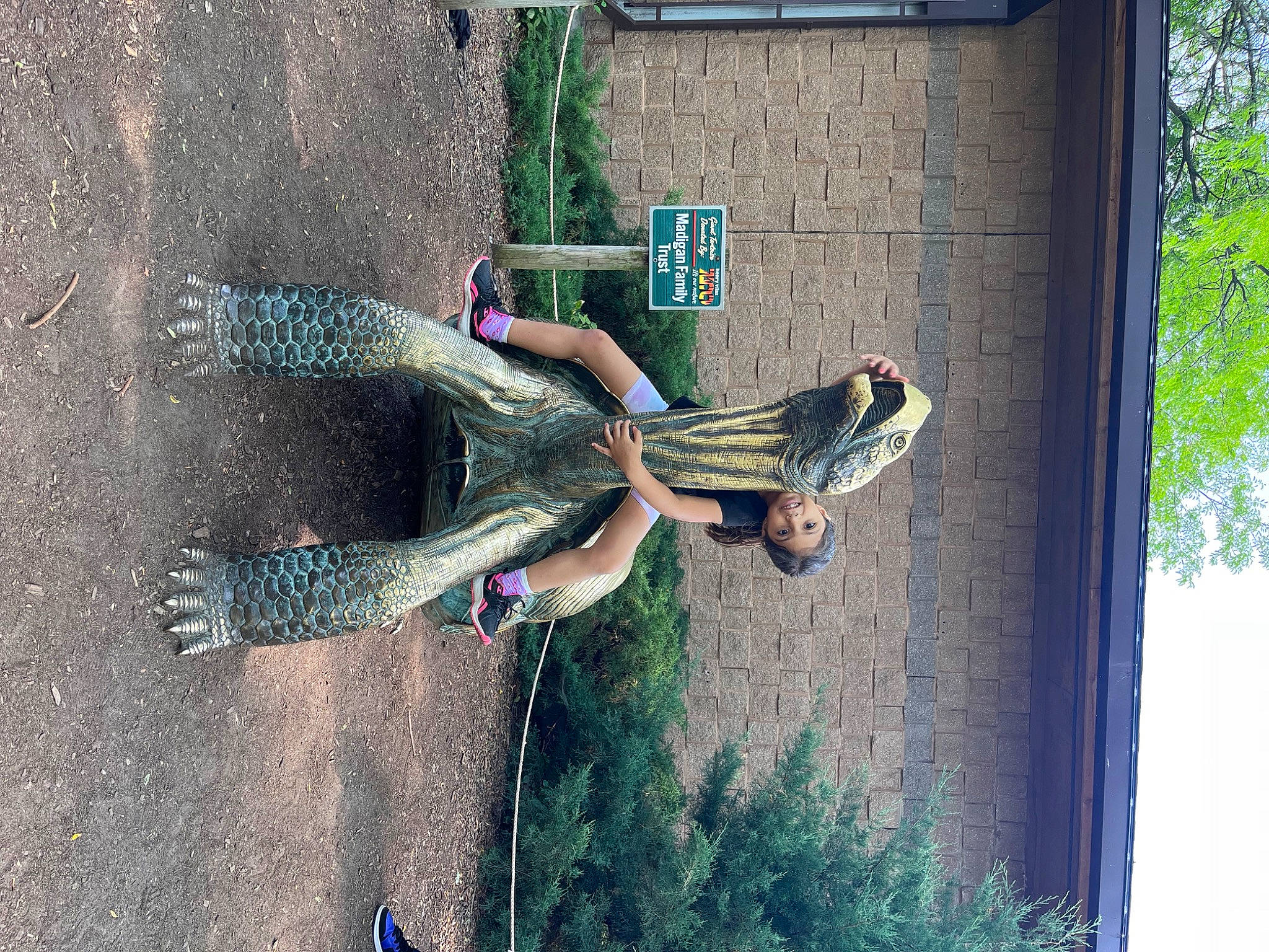 Dallas is registered to the contest to win money with this photo: adventure, concrete, dress, extreme_sport, facade, fun, joy, leisure, person, plant, recreation, rope, shadow, sport_climbing, tree, walking_shoe, wheel, wood