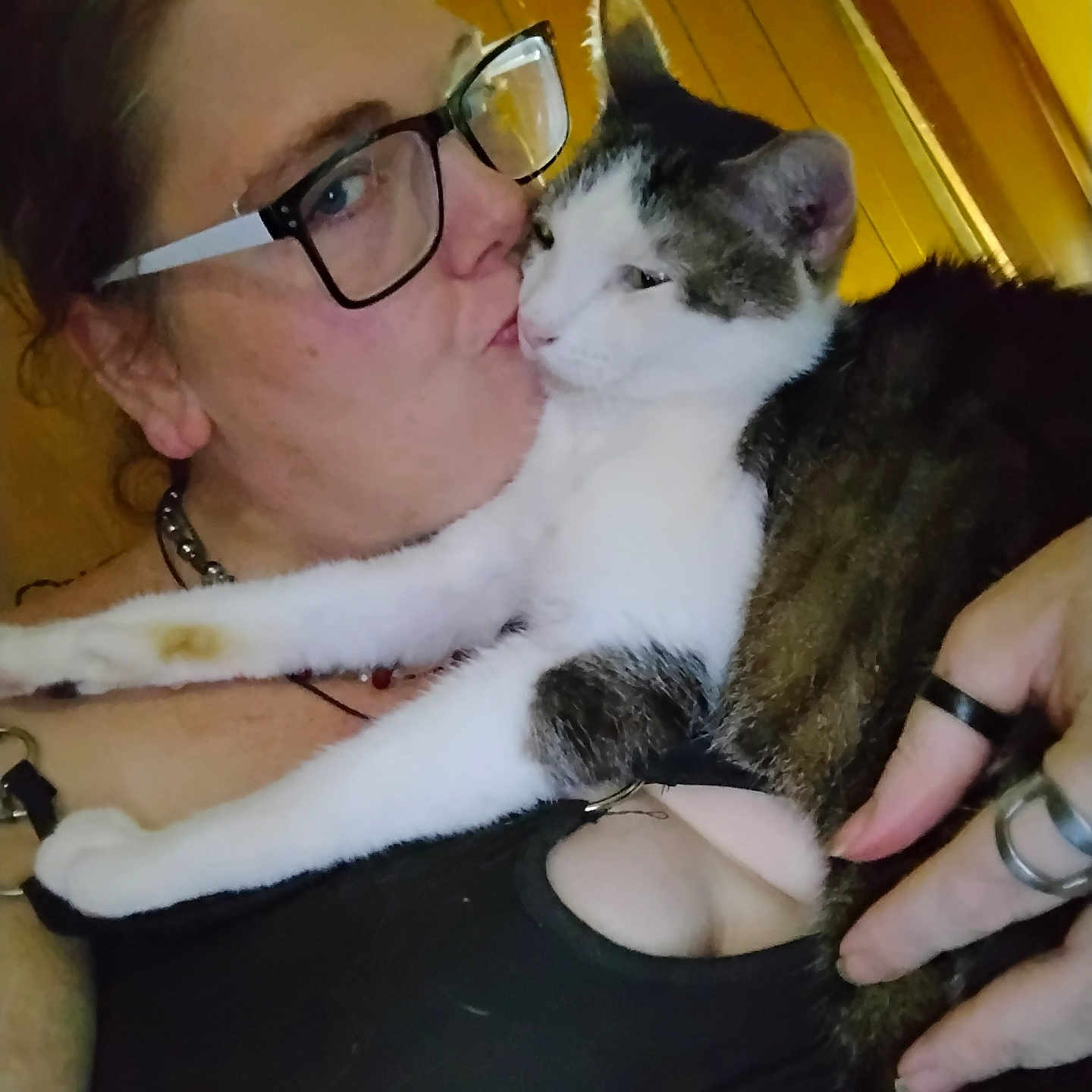 Fatty is registered to the contest to win money with this photo: affection, arm, black_clothing, cat, close_up, face, feline, glasses, holding, human_hand, indoor, kissing, necklace, person, pet, relaxed, rings, tabby_cat, white_cat, wood_paneling
