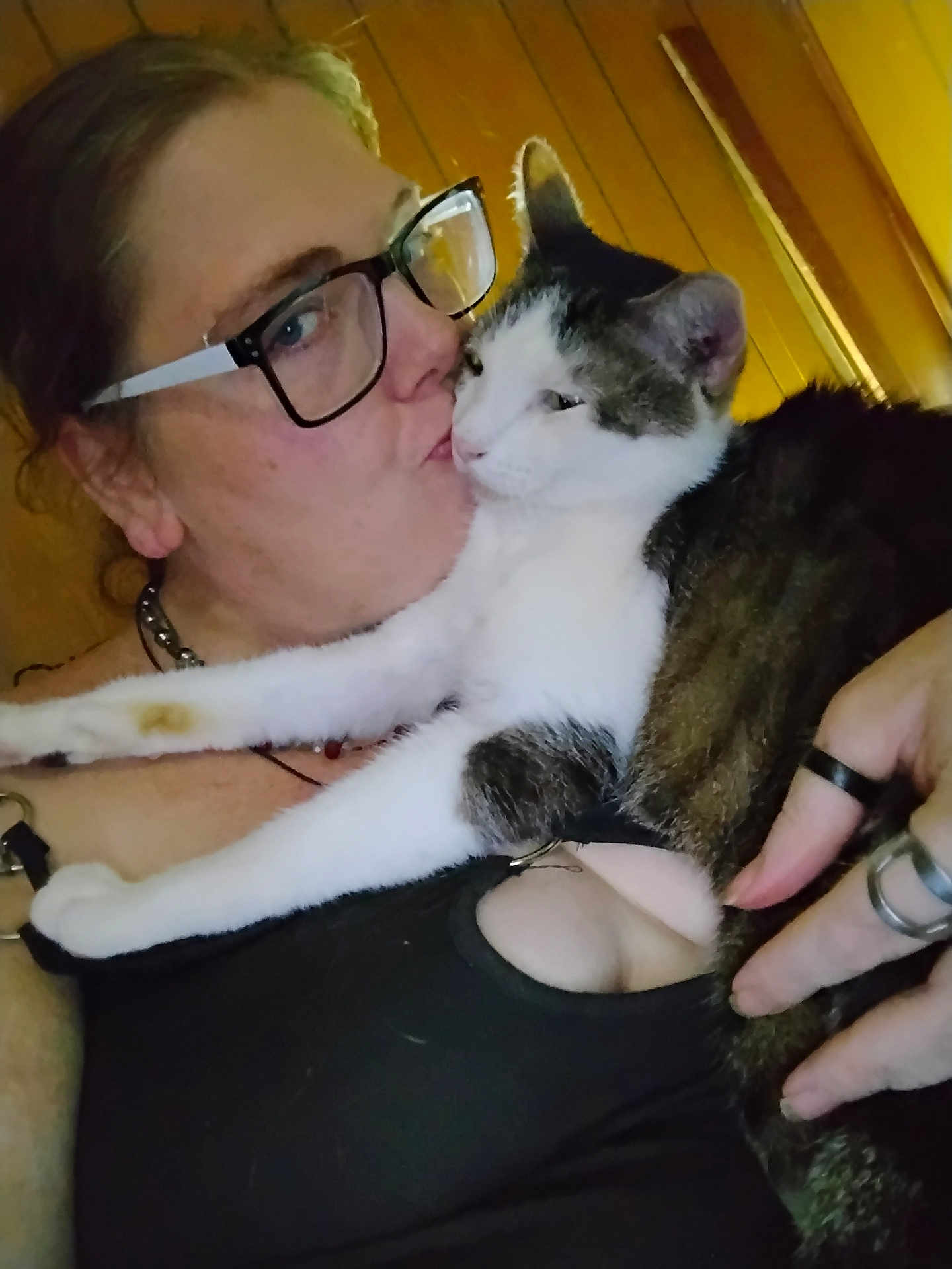 Fatty is registered to the contest to win money with this photo: person, cat, glasses, kissing, indoor, affection, pet, close_up, black_clothing, rings, necklace, wood_paneling, holding, relaxed, white_cat, tabby_cat, face, arm, human_hand, feline