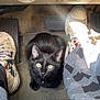 Tux is registered to the contest to win money with this photo: black_cat, kitten, car_interior, car_pedals, sneakers, shoes, floor_mat, blanket, pet, curious, green_eyes, indoor, animal, cute, young_cat, domestic_cat, looking_up, seat, car_floor, collar_with_bell
