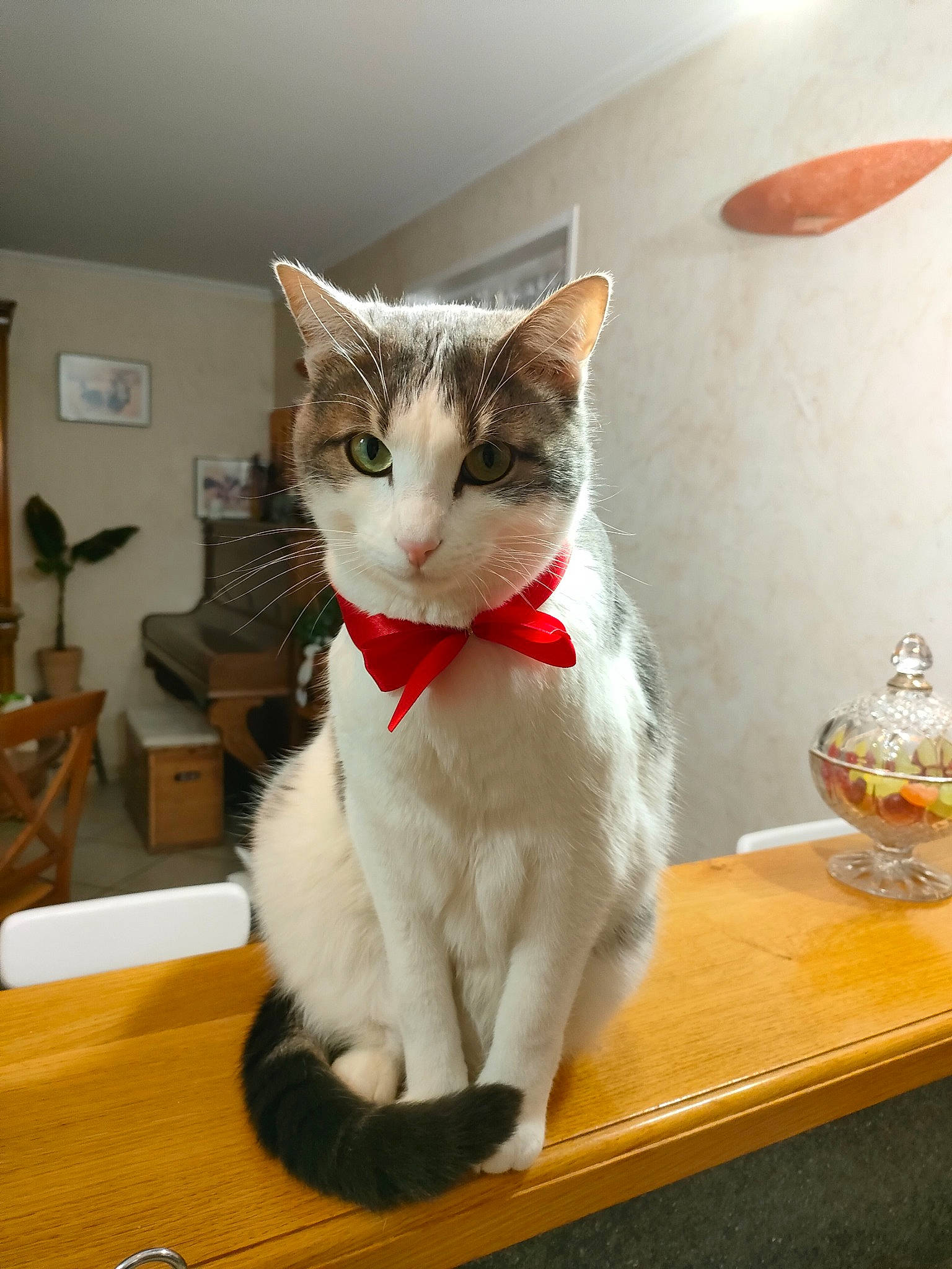 Basil
