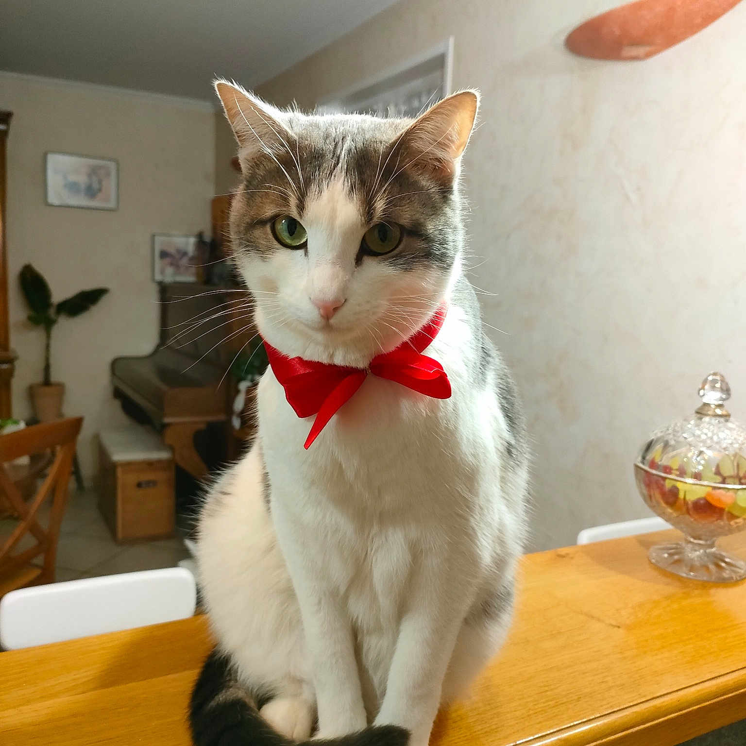 Basil
