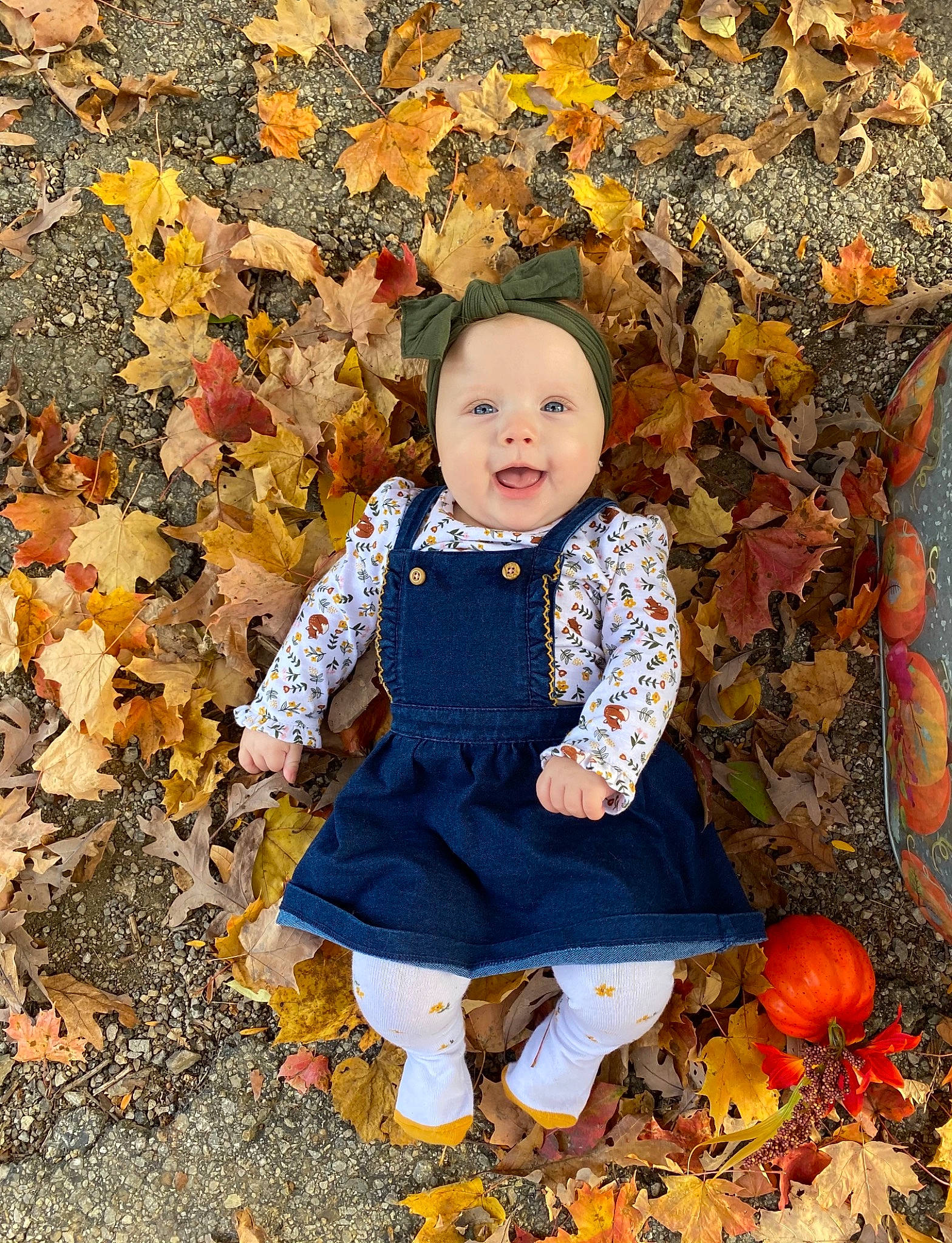 Kenzley joined the competition — help win amazing prizes! autumn, child, deciduous, family, headwear, leaf, people, people_in_nature, person, photography, plant, portrait, pumpkin, sitting, smile, toddler, tree, yellow