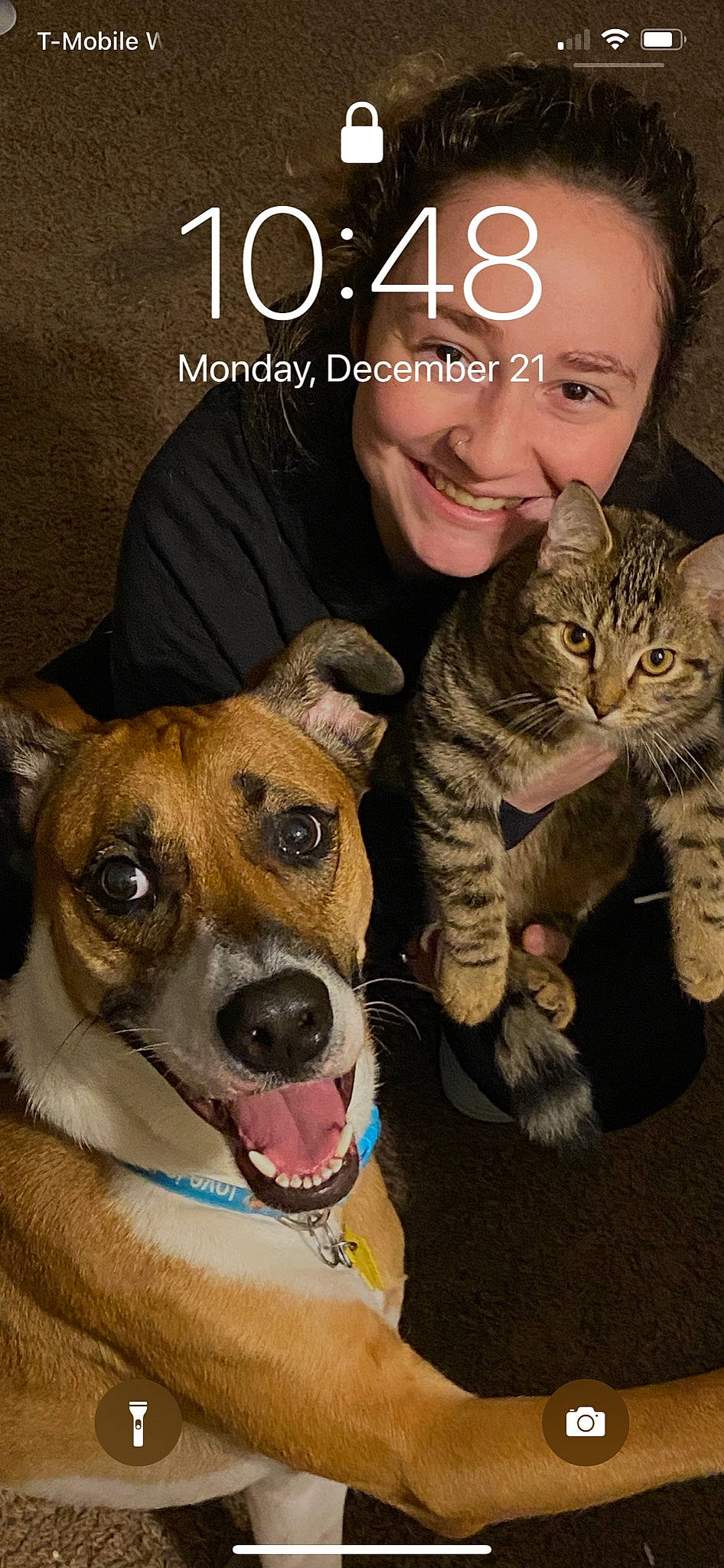 Peka joined the competition — help win amazing prizes! carnivore, cat, collar, dog, dog_breed, facial_expression, fawn, felidae, fur, human, iris, jaw, mammal, pet_supply, skin, small_to_medium_sized_cats, snout, tooth, vertebrate, whiskers