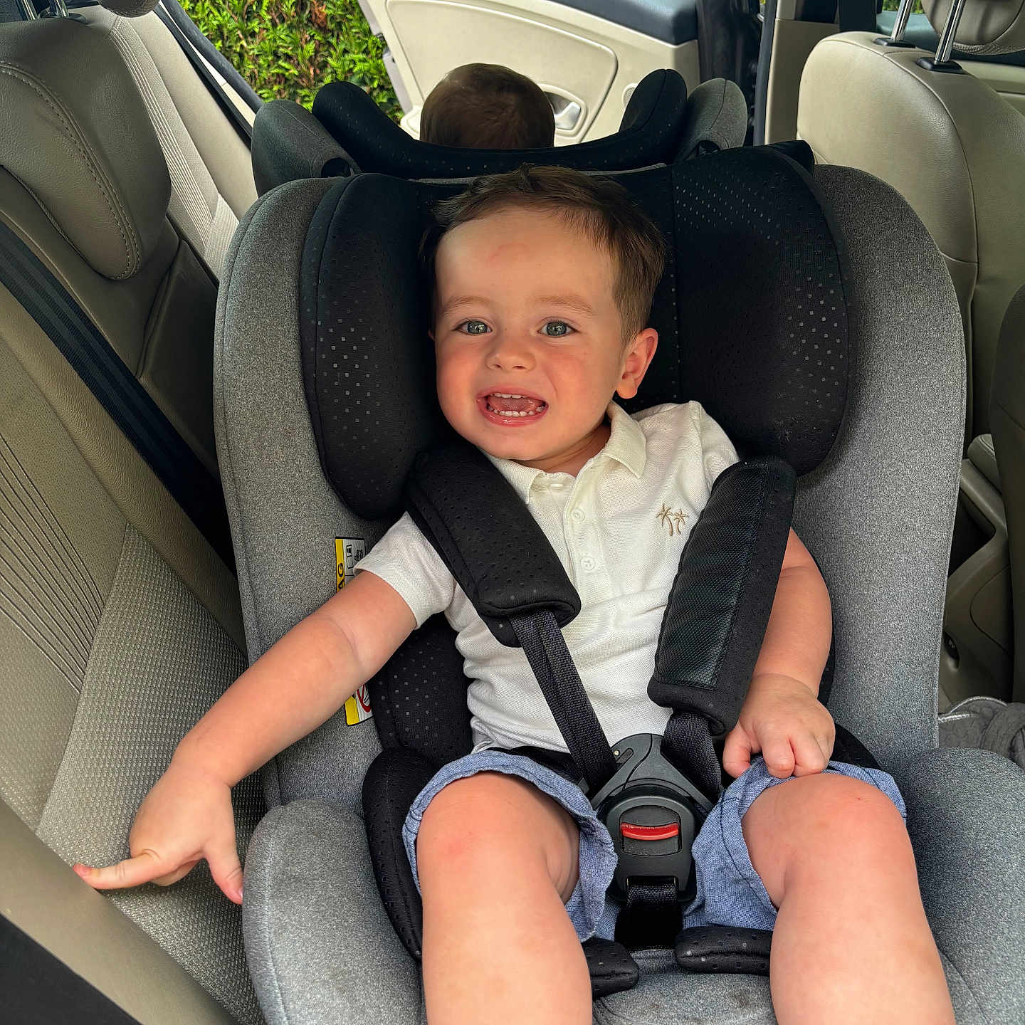 Massimo a rejoint le concours — aidez-le/la à gagner de superbes lots ! arm, baby, car_interior, car_seat, child, clothing, door, greenery, hand, happy, head, person, polo_shirt, safety, seat, seatbelt, shorts, smile, toddler, window