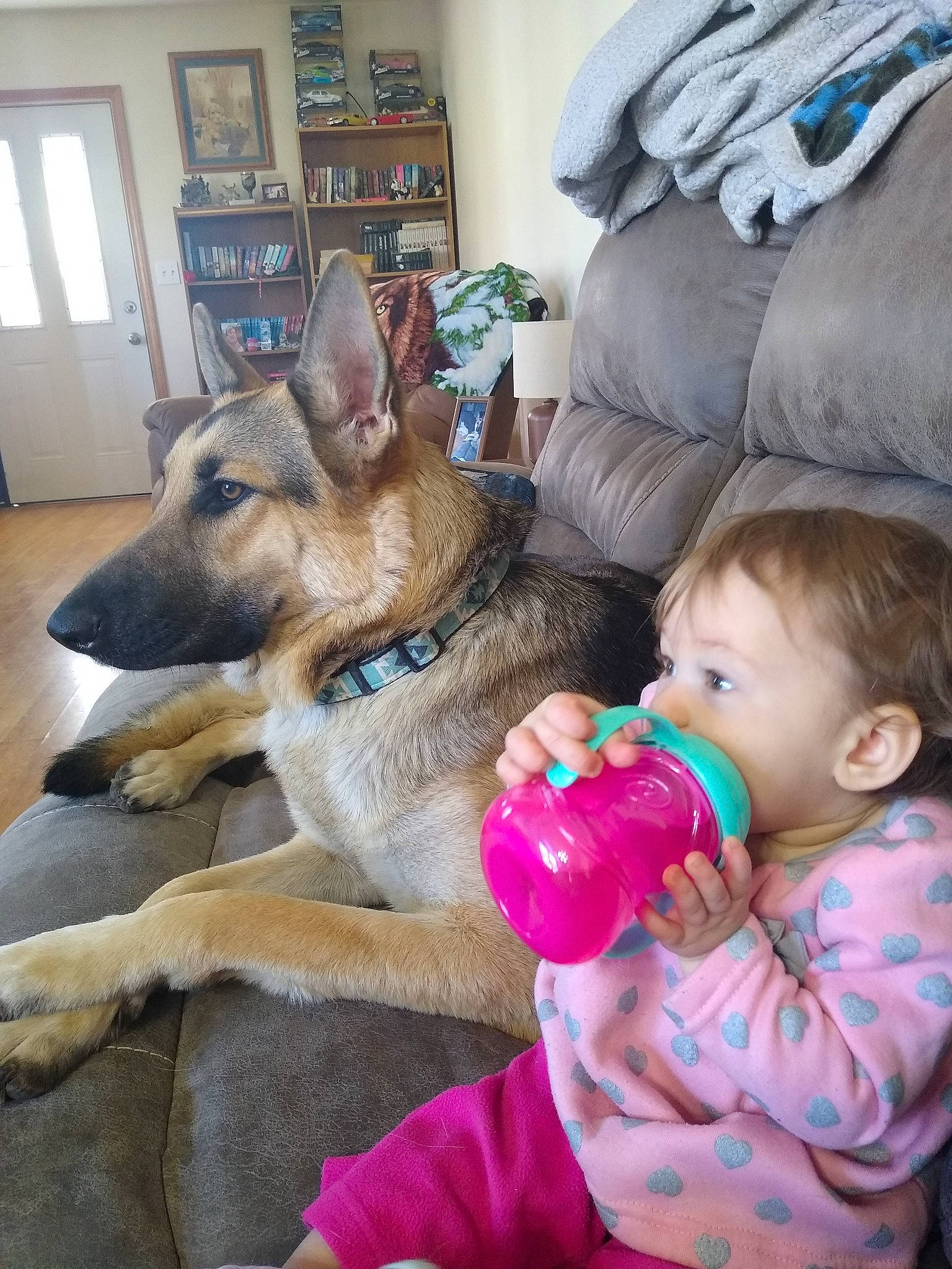 Ava is registered to the contest to win money with this photo: baby, baby_toddler_clothing, carnivore, comfort, companion_dog, dog, dog_breed, ear, fawn, fun, happy, mammal, organ, picture_frame, sitting, skin, toddler, toy, vertebrate, window