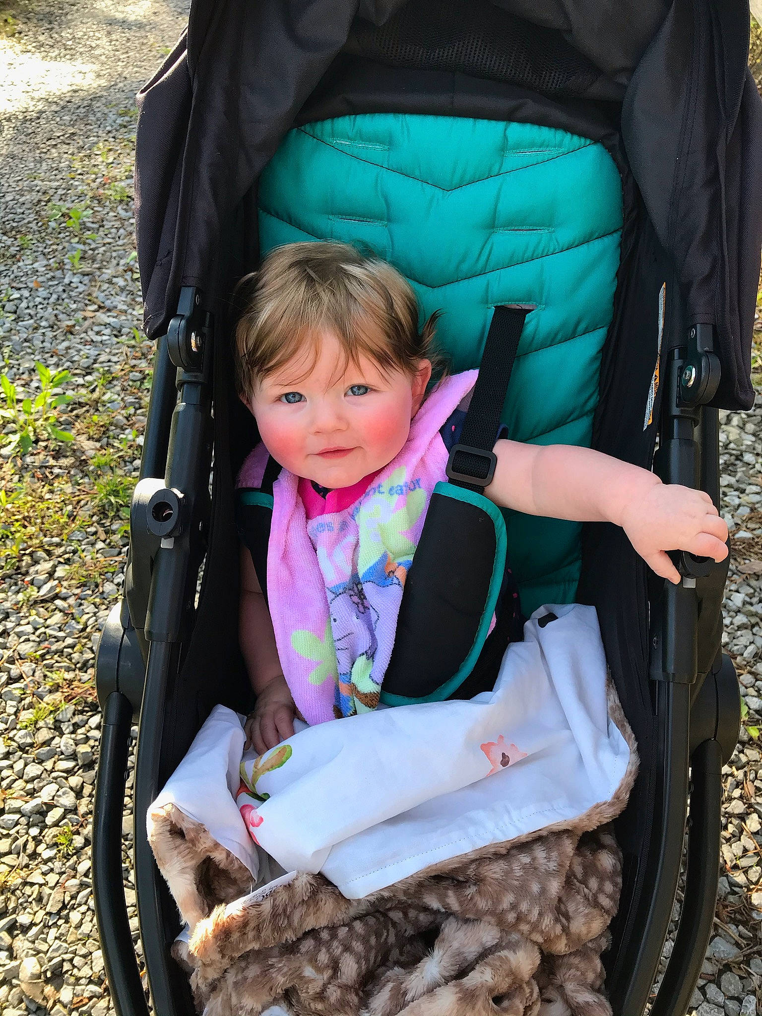 Briar is registered to the contest to win money with this photo: baby, baby_carriage, baby_carrier, baby_products, child, person, product, sitting, toddler, tree