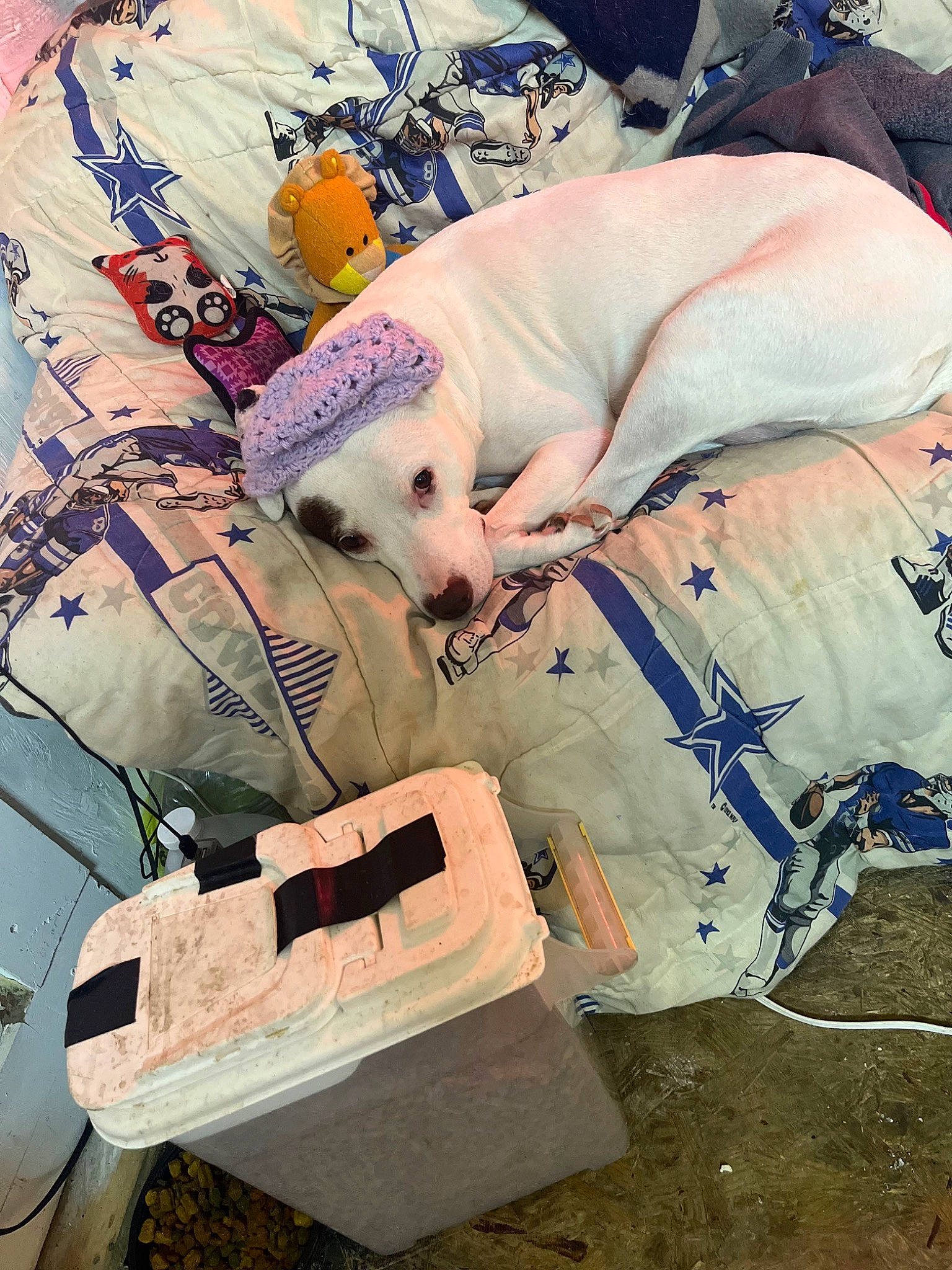 Coco joined the competition — help win amazing prizes! flesh, human_leg, machine, medical_procedure, pattern, service, space, textile, wood