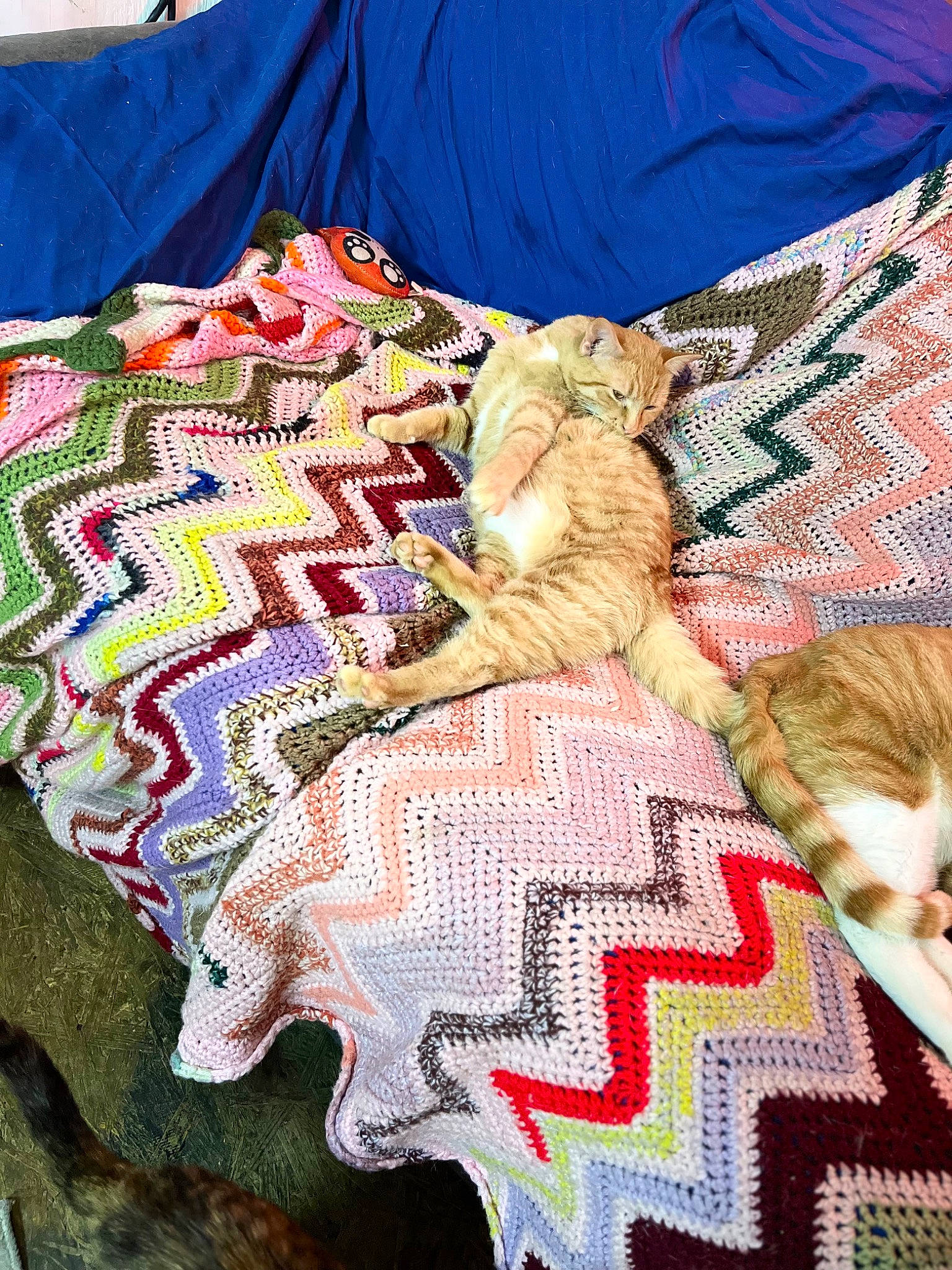 Edna is registered to the contest to win money with this photo: art, bedding, carnivore, cat, comfort, craft, creative_arts, domestic_short_haired_cat, felidae, flooring, fur, linens, magenta, needlework, pattern, small_to_medium_sized_cats, textile, whiskers, wood, woven_fabric