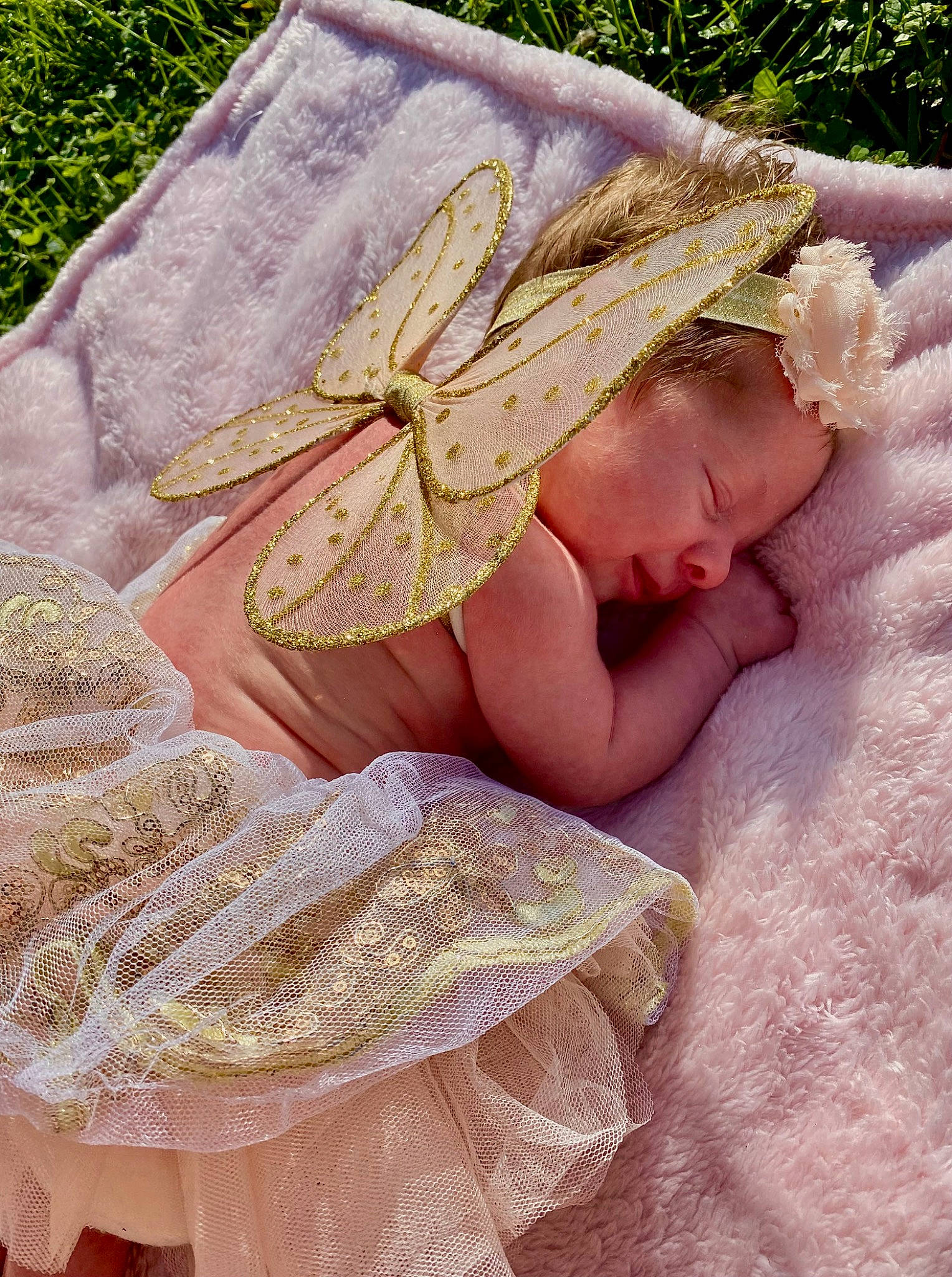 Lavender joined the competition — help win amazing prizes! art, baby, comfort, embellishment, fashion_accessory, fawn, fur, grass, hand, headgear, linens, pattern, peach, people_in_nature, person, plant, thumb, toddler, wood, wool