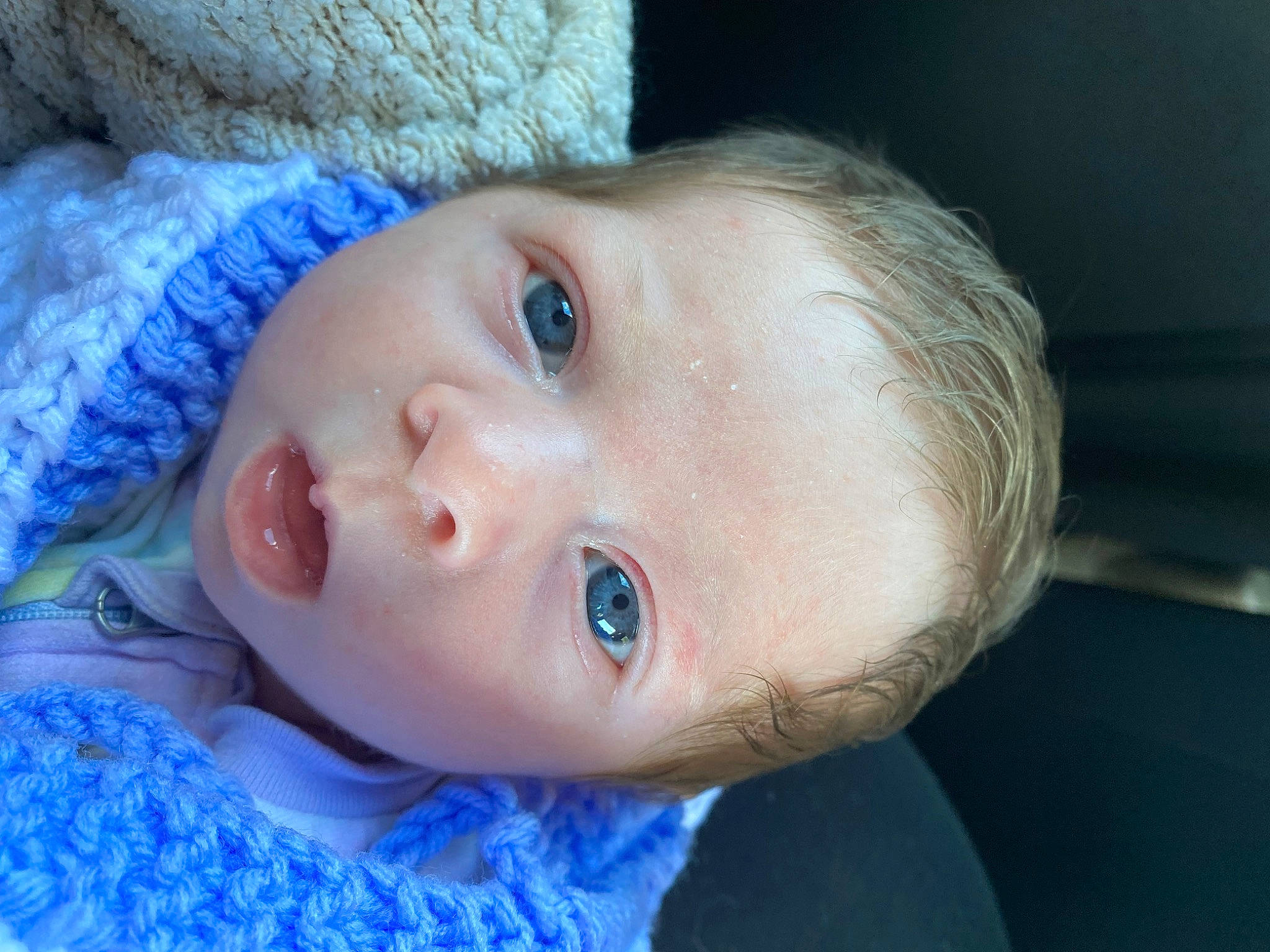 Lavender joined the competition — help win amazing prizes! baby, cap, cheek, child, chin, electric_blue, eye, eyebrow, eyelash, fashion_accessory, flash_photography, fun, fur, happy, iris, lip, nose, person, portrait_photography, skin
