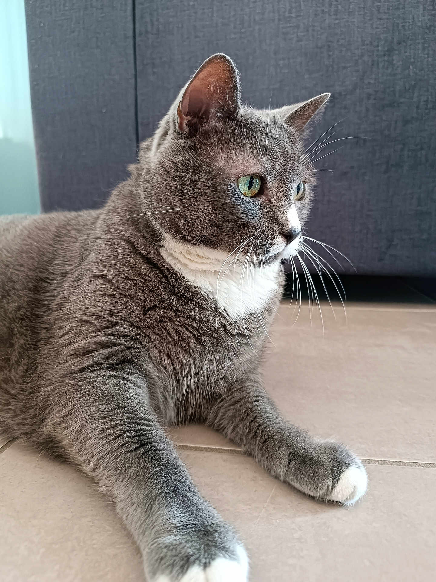 Asia