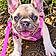 Khloe