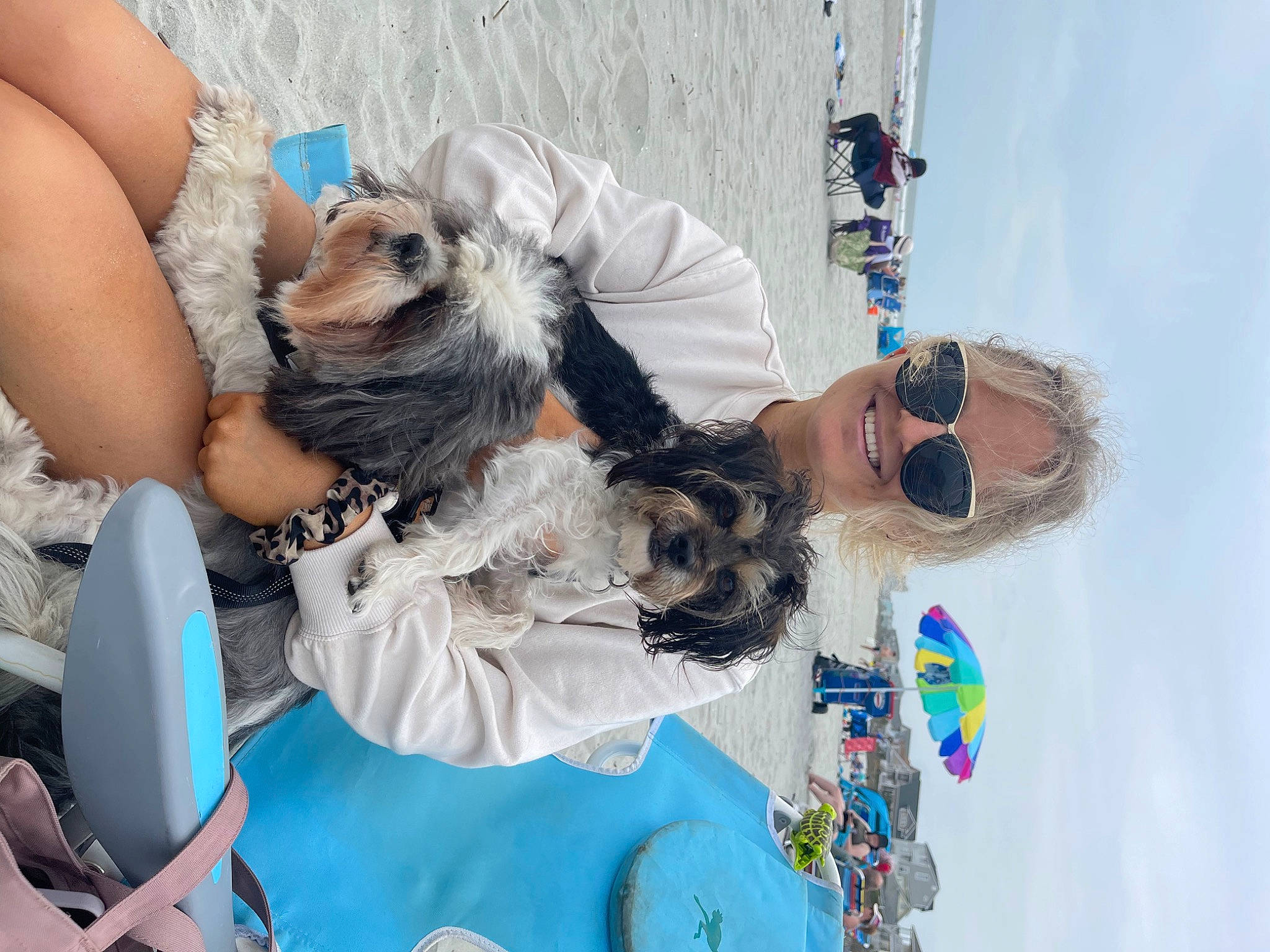 Ryder joined the competition — help win amazing prizes! blue, canidae, chair, companion_dog, dog, dog_breed, event, eyewear, fawn, fun, fur, happy, leisure, mammal, sky, small_terrier, sunglasses, toy, toy_dog, vacation