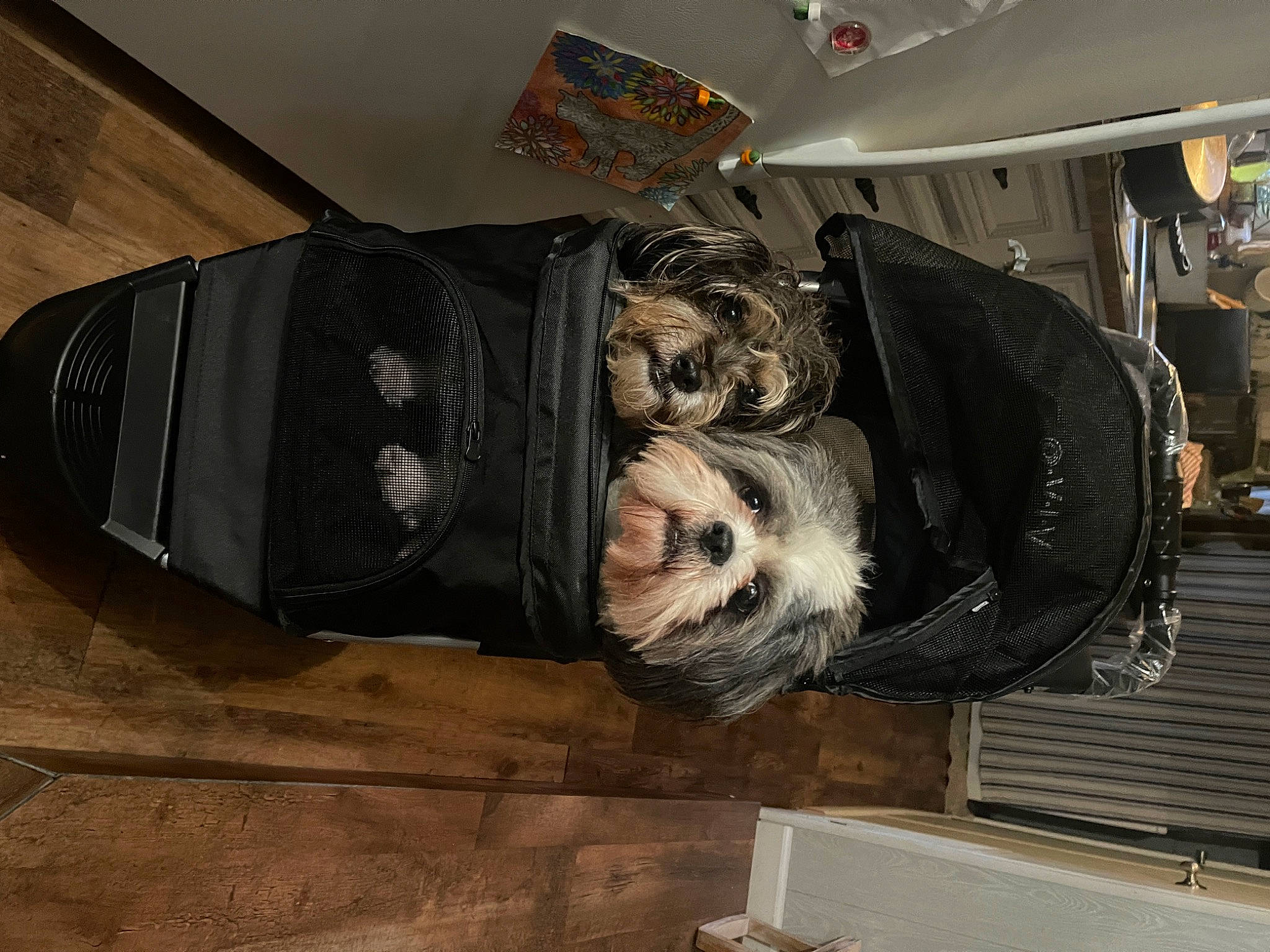 Ryder is registered to the contest to win money with this photo: art, auto_part, automotive_design, automotive_tire, automotive_wheel_system, formal_wear, fur, hat, luxury_vehicle, machine, motor_vehicle, personal_protective_equipment, room, sculpture, statue, suit, tire, vehicle, window, wood