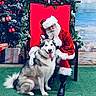santa_claus, dog, husky, christmas, holiday, festive, wreath, decorations, red, white, green, chair, smile, tongue_out, fur, glasses, boots, gift_boxes, tree, background
