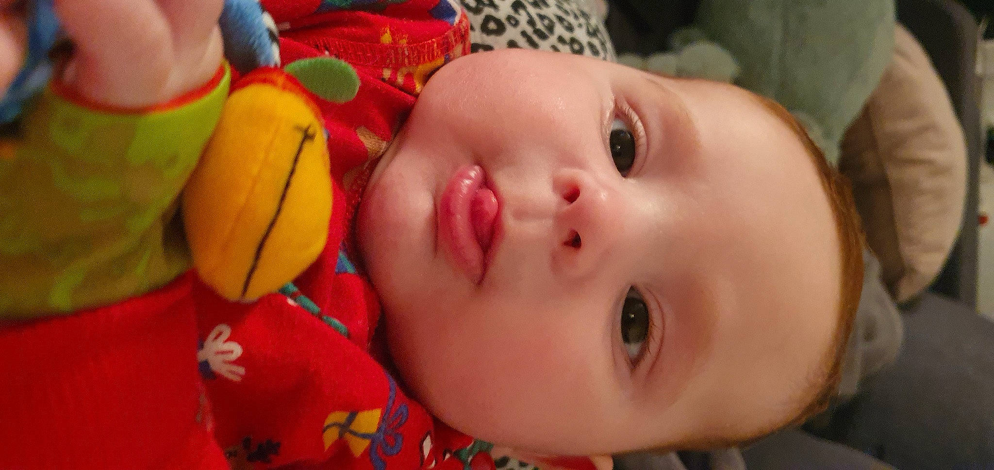 Liam participe au concours pour gagner de l'argent avec cette photo : baby, baby_toddler_clothing, cheek, chin, eye, eyebrow, eyelash, face, facial_expression, happy, head, human, iris, lip, mammal, mouth, nose, person, red, skin