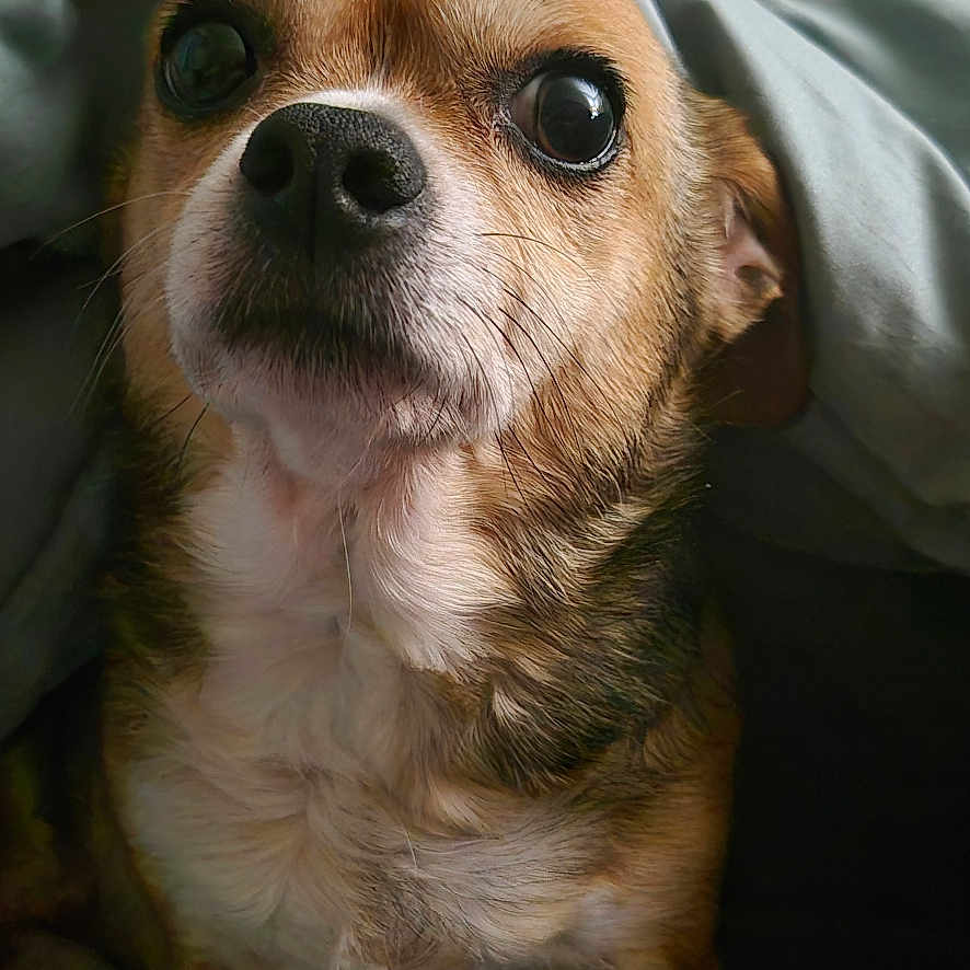 Zoe