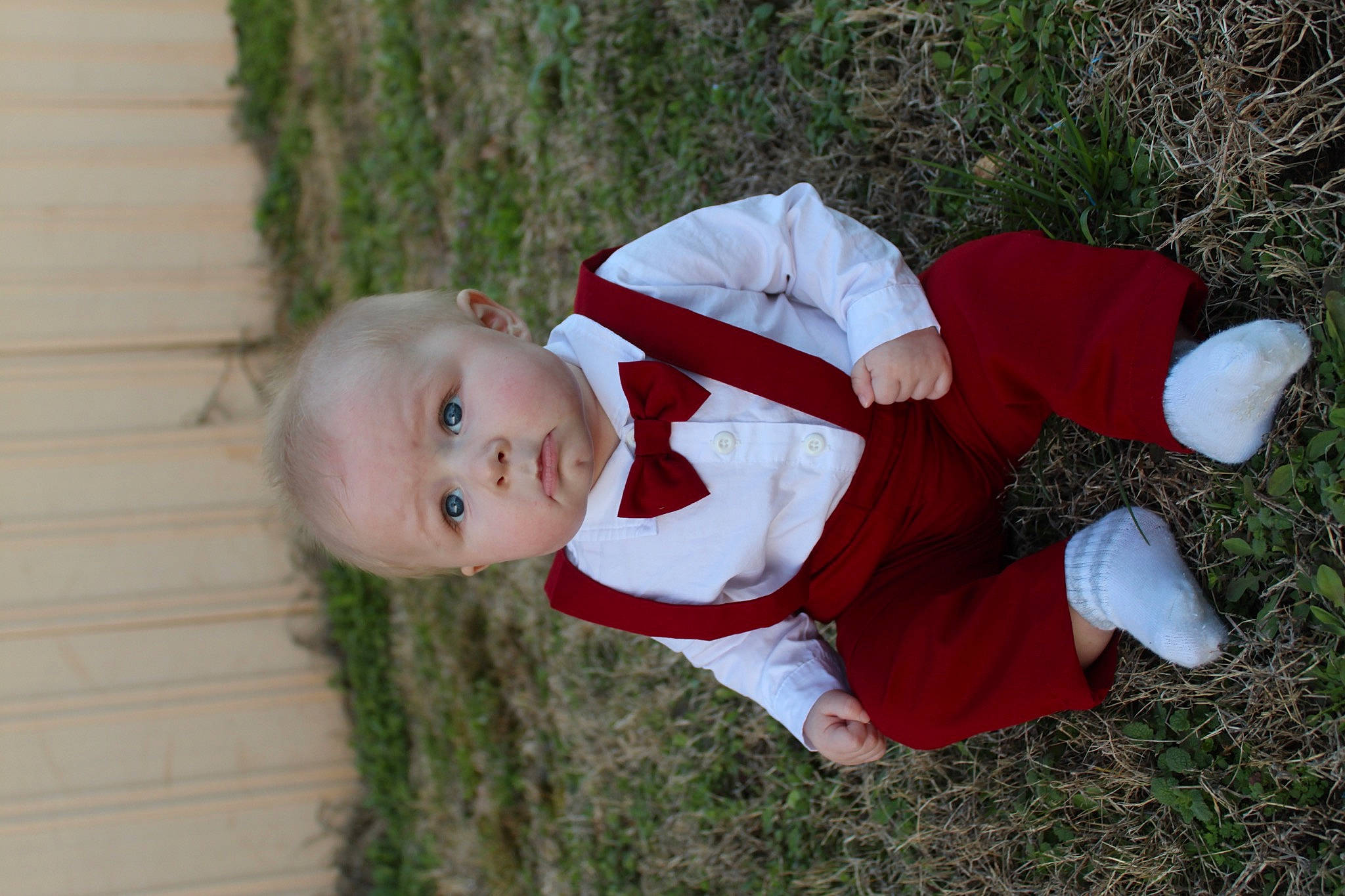 Ares joined the competition — help win amazing prizes! baby, baby_toddler_clothing, carmine, child, grass, happy, lap, people_in_nature, person, plant, sitting, sleeve, toddler, wood