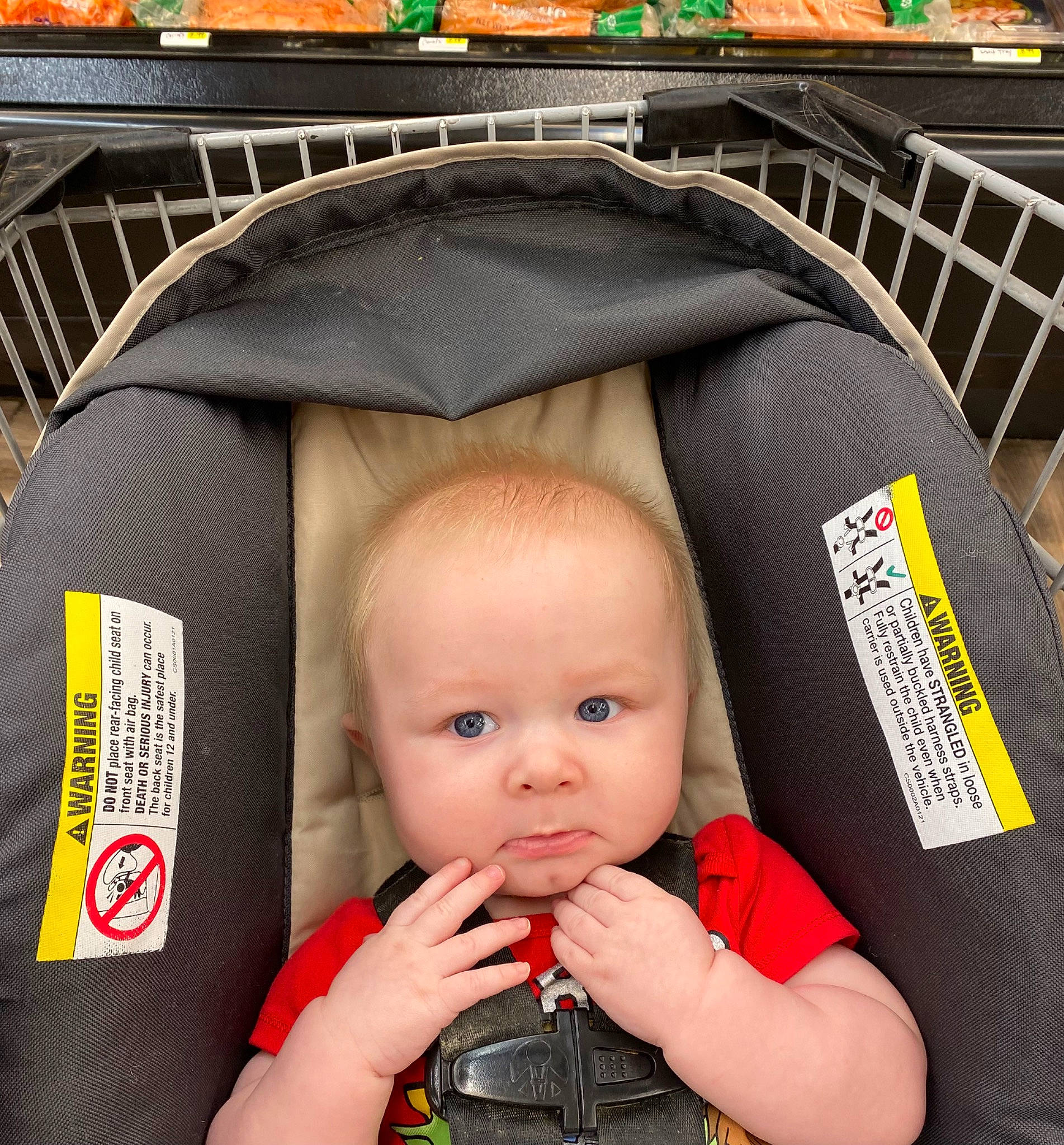 Ares joined the competition — help win amazing prizes! baby, baby_carriage, baby_products, baby_safety, baby_toddler_clothing, bag, child, comfort, fashion_accessory, fun, person, photograph, photography, shelf, shopping_cart, sitting, snapshot, strap, thumb, toddler