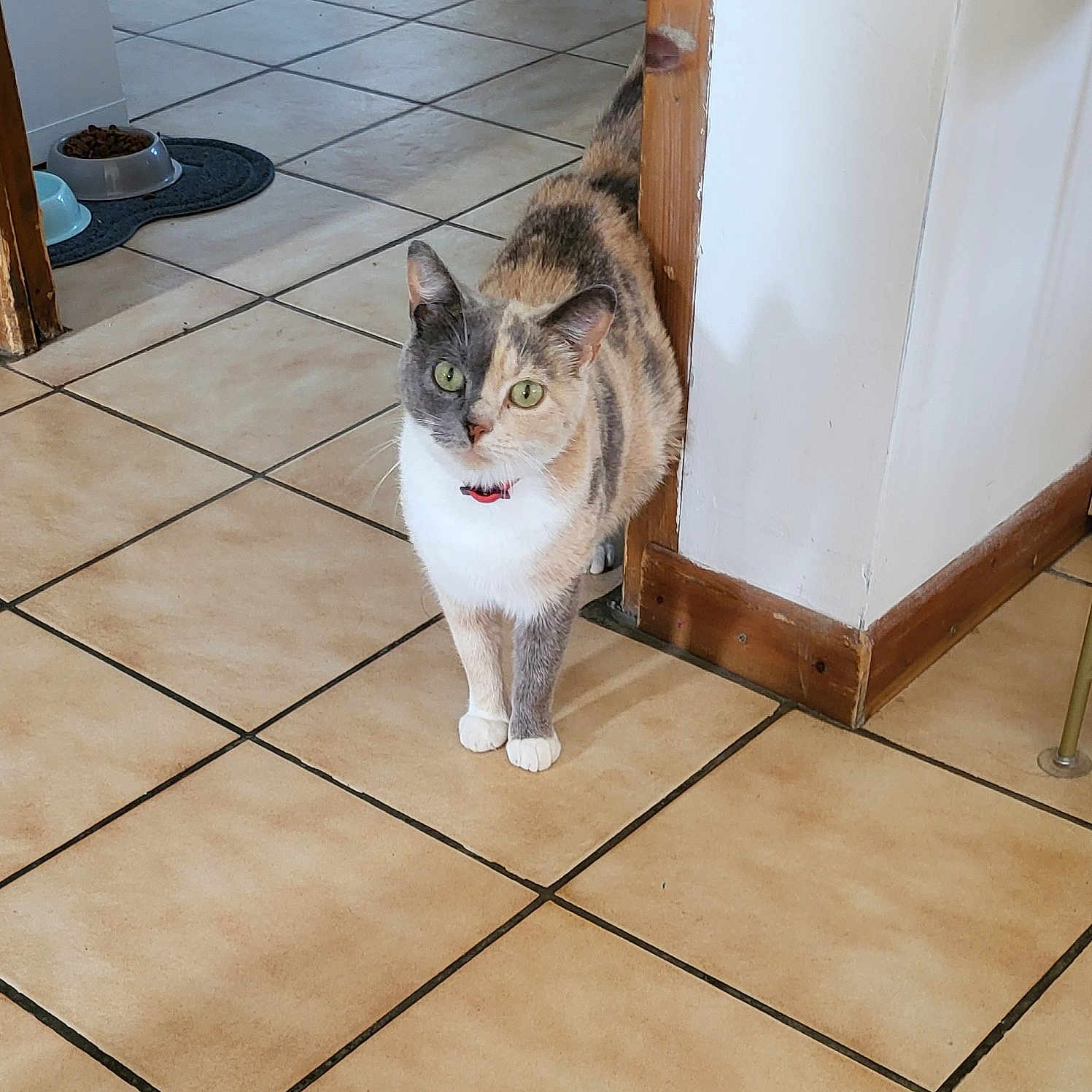 Minette