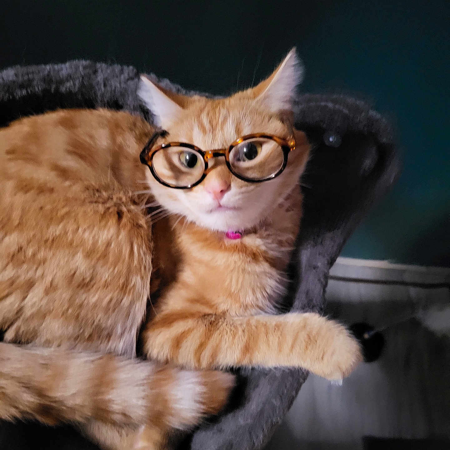 Garf