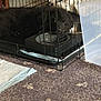 dog, crate, pet, indoor, resting, black_dog, carpet, pee_pads, plastic_bin, metal_bars, food_bowl, floor, home, animal, sleepy, cage, cozy, furniture, domestic, quiet