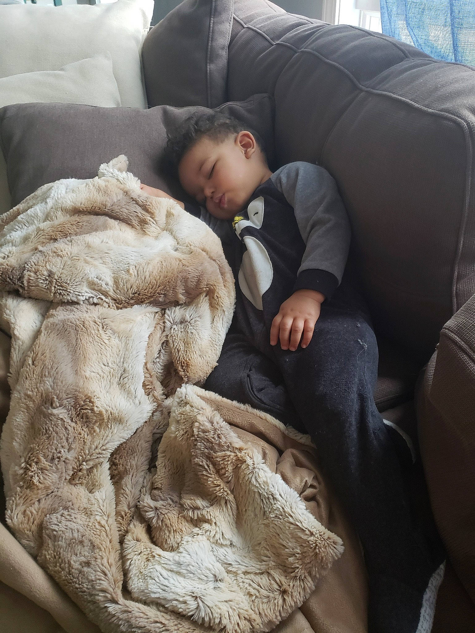 Lawton is registered to the contest to win money with this photo: car, child, comfort, couch, family, fur, furniture, human, linens, love, nap, person, sleep, textile, toddler, vacation