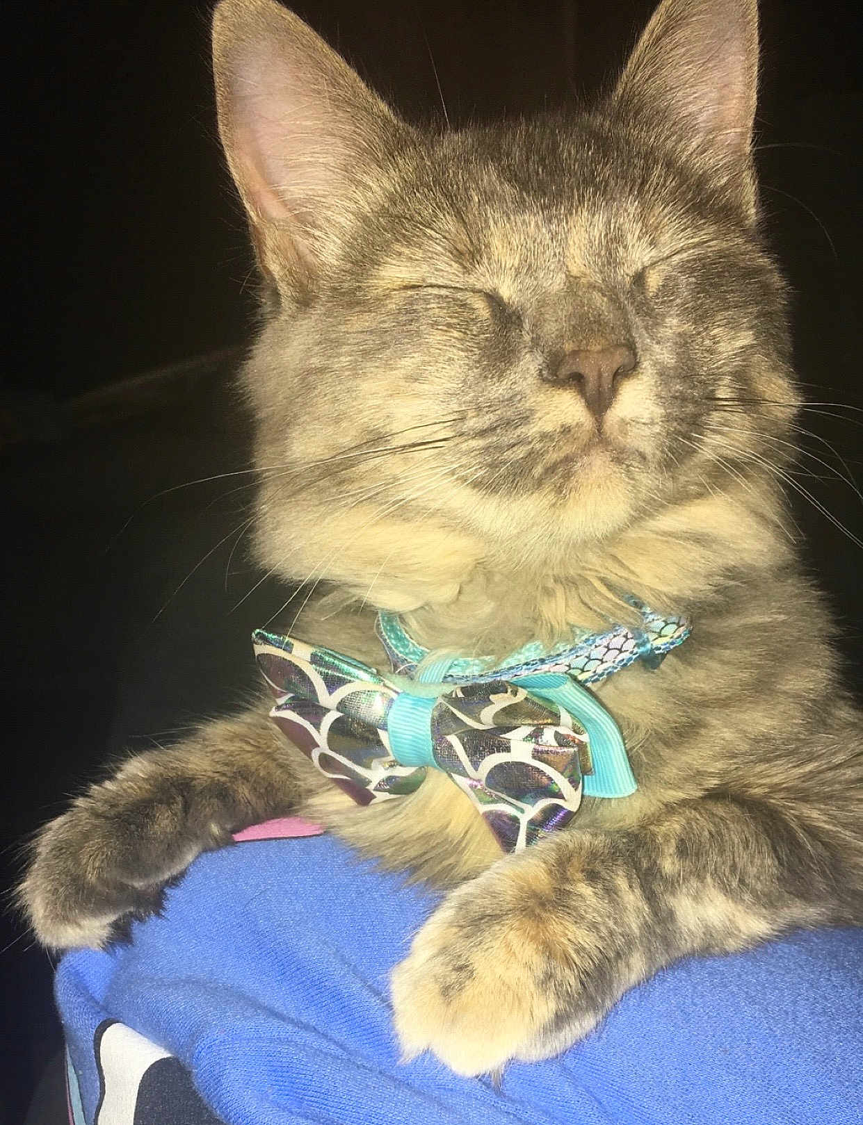 Luna