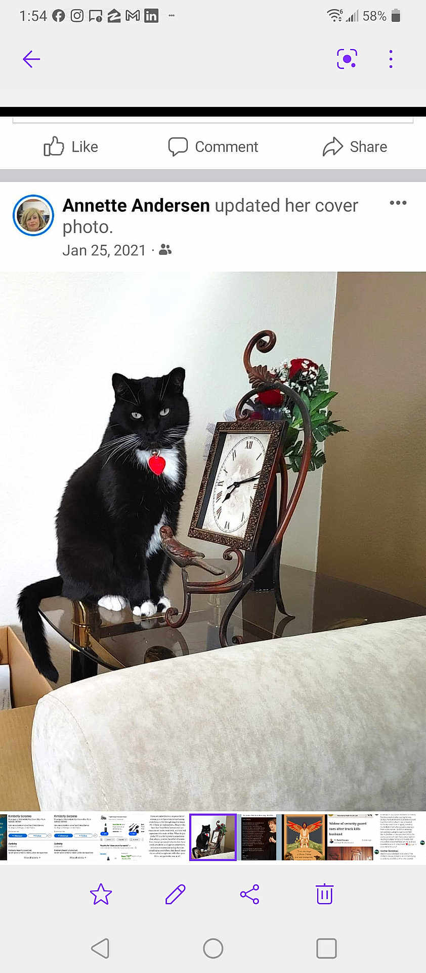 Kitty