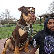 Bruno joined the competition — help win amazing prizes! dog, man, hoodie, outdoor, bench, grass, tree, park, pet, canine, leash, casual, beard, portrait, animal, camouflage, resting, sidewalk, friendship, overcast