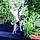 Leopoldine