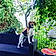 Leopoldine