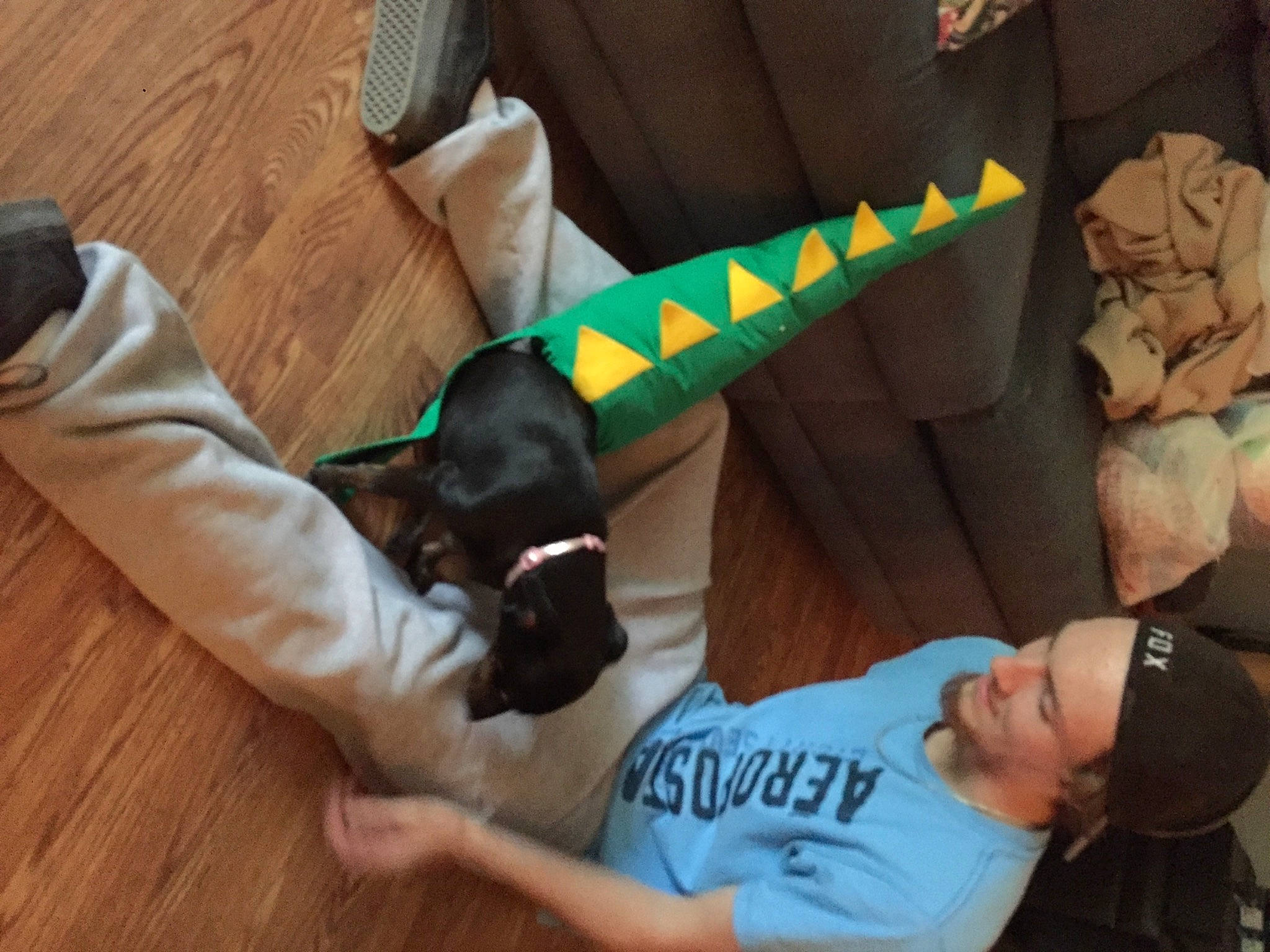 Missy joined the competition — help win amazing prizes! carnivore, child, comfort, companion_dog, dog, dog_breed, elbow, fawn, flooring, gesture, hardwood, knee, laminate_flooring, sitting, t_shirt, wood, wood_flooring, wood_stain, working_animal, wrist