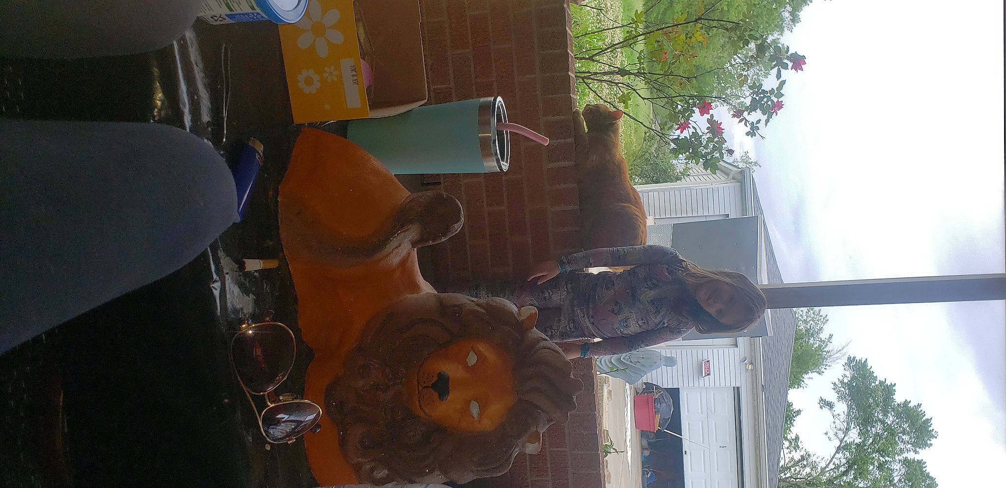 Alayna joined the competition — help win amazing prizes! art, flowerpot, fun, hat, house, houseplant, mammal, metal, person, plant, room, sculpture, sky, stuffed_toy, toy, tree, vertebrate, visual_arts, window, wood