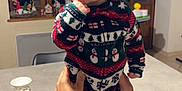 émile participe au concours pour gagner de l'argent avec cette photo : baby, child, person, infant, onesie, festive_clothing, snowman_pattern, table, hands, tattoo, indoor, window, holiday_decorations, curious, finger_in_mouth, sock, cute, home, support, portrait
