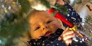 émile participe au concours pour gagner de l'argent avec cette photo : baby, blanket, celebration, child, christmas_tree, cozy, curious, cute, decorations, face, festive, holiday, holiday_season, indoor, infant, ornament, person, reaching, seasonal, smiling