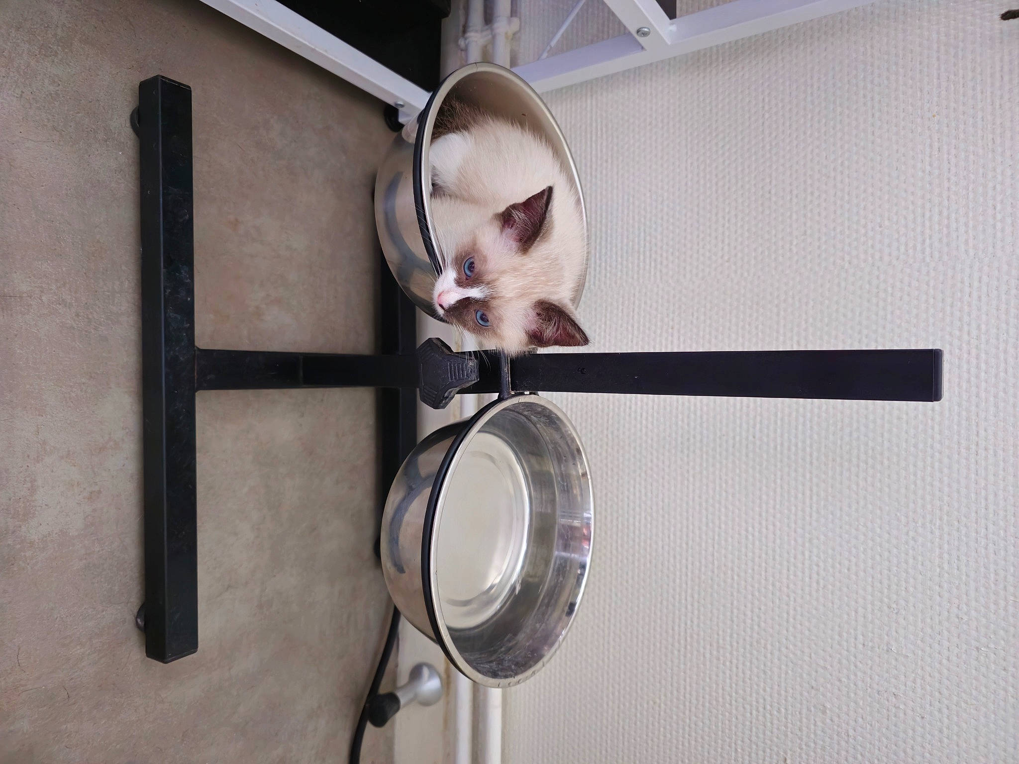 Azraël participe au concours pour gagner de l'argent avec cette photo : aluminium, audio_equipment, automotive_lighting, ceiling, circle, eyelash, eyewear, gas, glass, kitchen_utensil, magnifying_glass, measuring_instrument, mechanical_fan, metal, personal_protective_equipment, room, still_life_photography, transparent_material, window, wood