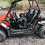 Theo is registered to the contest to win money with this photo: dog, black_dog, harness, off_road_vehicle, muddy, gravel, woods, trees, outdoor, vehicle, steering_wheel, seat, adventure, nature, happy, tongue_out, camouflage, parked, dirt, excited
