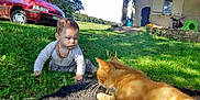 Loucenzo participe au concours pour gagner de l'argent avec cette photo :