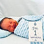 Kayden participe au concours pour gagner de l'argent avec cette photo : newborn, baby, sleeping, blanket, pillow, milestone_card, blue, soft_texture, infant, portrait, cozy, cute, resting, indoors, child, smiling, wrapped, face, peaceful, one_week