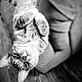 cat, tabby_cat, upside_down, curled_paws, soft_surface, flooring, indoor, pet, feline, whiskers, ears, fur, animal, relaxed, curious, black_and_white, portrait, closeup, domestic_cat, cozy