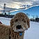 Ollie